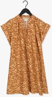Ocker SCOTCH & SODA Minikleid COLOR BLOCKED COTTON THROW-ON DRESS