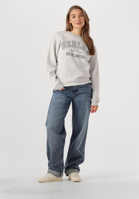 Hellgrau DEBLON SPORTS Sweatshirt CECILE - large