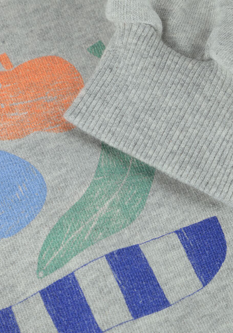 Graue Sproet & Sprout Sweatshirt RAGLAN SWEATSHIRT FRUIT - large