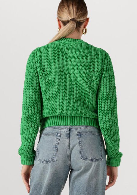 Grüne FABIENNE CHAPOT Strickjacke SUN CARDIGAN - large