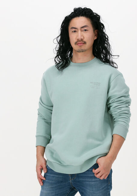 Grüne SELECTED HOMME Sweatshirt SLHLOOSEARVID CREW NECK SWEAT - large