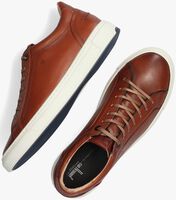 Cognacfarbene VAN BOMMEL Sneaker low 13380 - medium