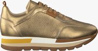 Goldfarbene ROBERTO D'ANGELO Sneaker low MOTO - medium