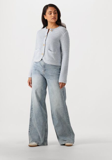 Hellblau JANICE Wide jeans MASON - large