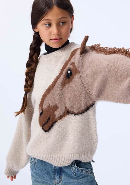 Braune MOLO Pullover GISELA - large