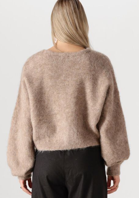 Beige GESTUZ Strickjacke SANAGZ CARDIGAN - large