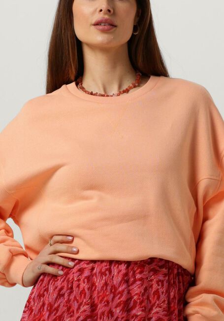 Orangene CIRCLE OF TRUST Pullover NIKITA SWEAT - large