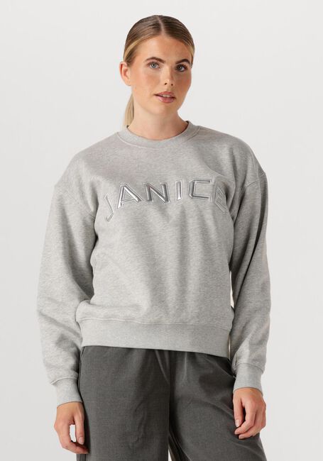 Graue JANICE Sweatshirt ANDY - large