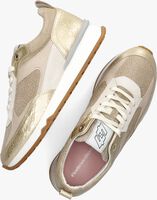 Goldfarbene FLORIS VAN BOMMEL Sneaker low SFW-10102 - medium