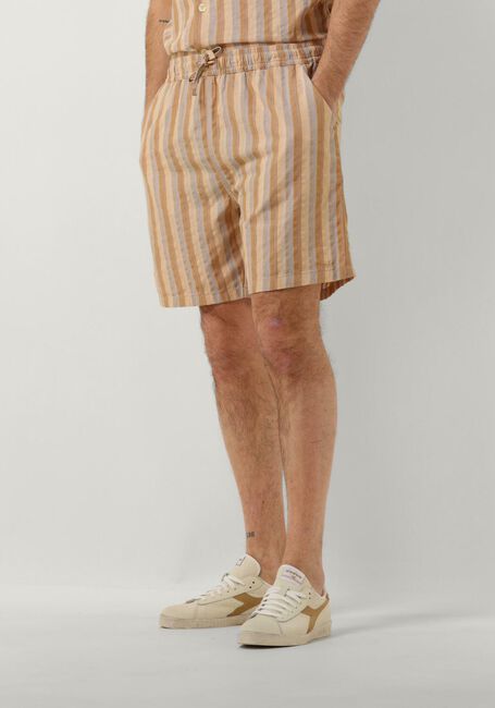 Braune FORÉT Kurze Hose OTTER SEERSUCKER SHORTS - large