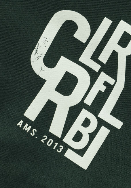 Dunkelgrün COLOURFUL REBEL Sweatshirt CLRFL RBL AMS. 2013 HOODIE - large