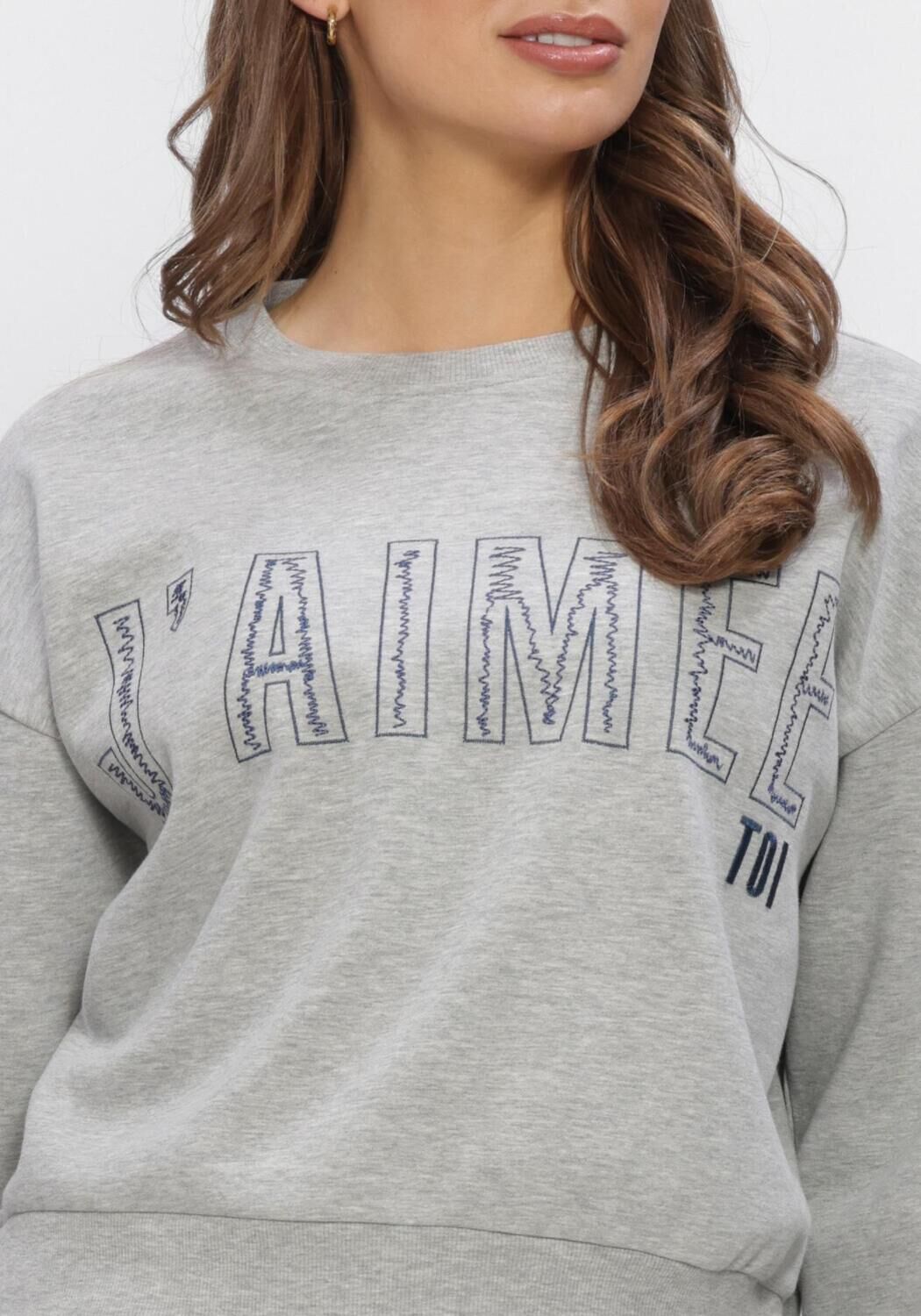 Graue AIMEE THE LABEL Sweatshirt ELANSS6 SWEATER WITH EMBROIDERY - large