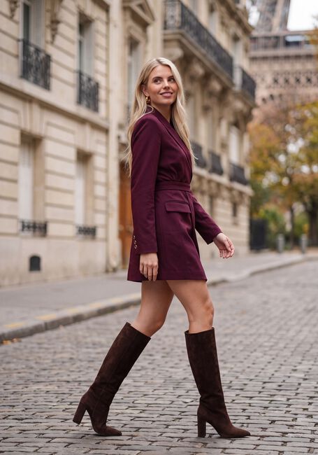 Bordeaux FREEBIRD Minikleid BLAZORA - large