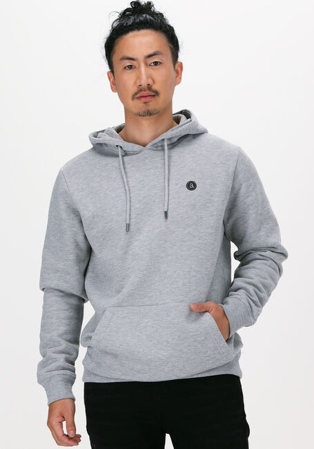 Hellgrau ANERKJENDT Sweatshirt AKNIGEL ORGANIC HOODIE - large