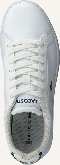Weiße LACOSTE Sneaker Low CARNABY EVO DAMES Weiße LACOSTE Sneaker Low CARNABY EVO DAMES - large