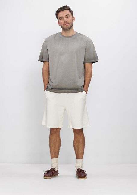 Graue ANERKJENDT T-shirt AKVILLADS WASHED TEE - large