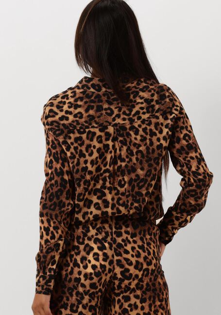 Braune JANICE Blusen DYLAN - large