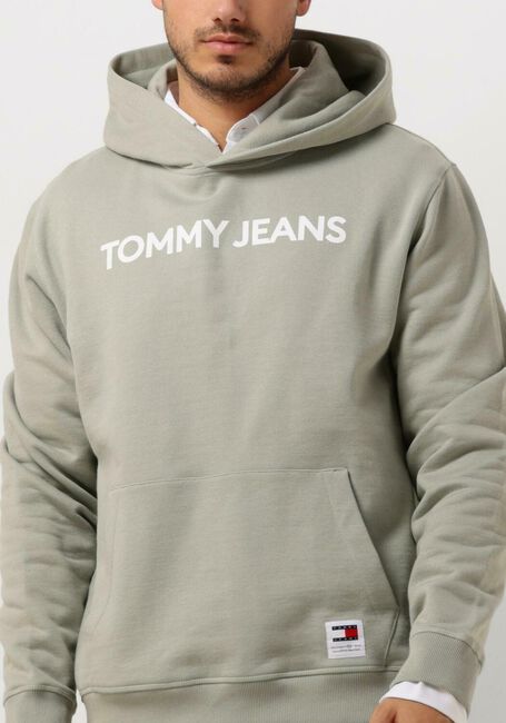 Grüne TOMMY JEANS Pullover TJM REG BOLD CLASSICS HOODIE EXT - large