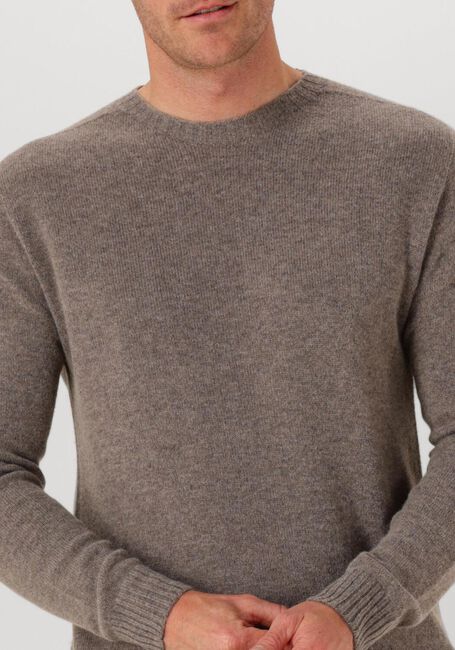 Graue PROFUOMO Pullover PULLOVER CREW NECK - large