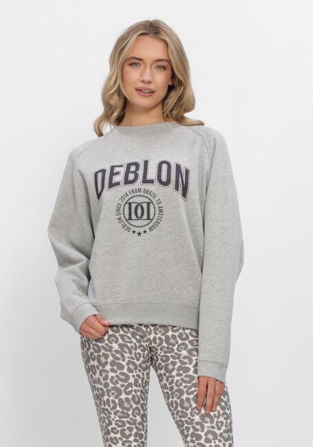 Graue DEBLON SPORTS Sweatshirt VIVE SWEATER - large