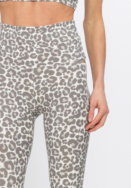 Limette DEBLON SPORTS Hosen CLASSIC LEGGINGS HIGH WAISTBAND 2 - large