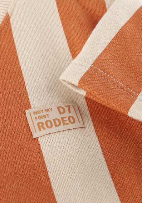 Orangene DAILY7 T-shirt T-SHIRT BIG STRIPE - large