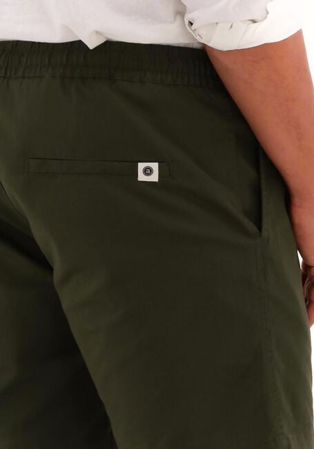 Dunkelgrün ANERKJENDT Kurze Hose AKLT JIMMY SHORTS - large
