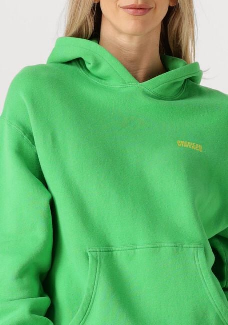 Grüne AMERICAN VINTAGE Pullover IZUBIRD S - large