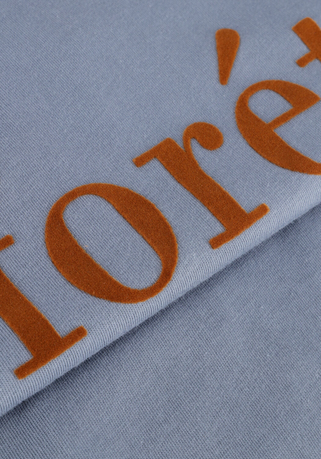 Blaue FOR&Eacute;T T-shirt RESIN T-SHIRT - large