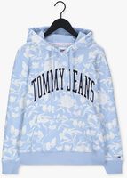 Hellblau TOMMY JEANS Sweatshirt TJM AOP HOODIE