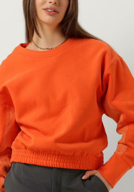Orangene VANILIA Pullover FLAT UTILITY SWEATER - large
