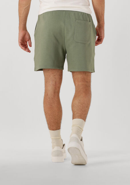 Grüne TOMMY JEANS Kurze Hose TJM S FLAG BEACH SHORT EXT - large
