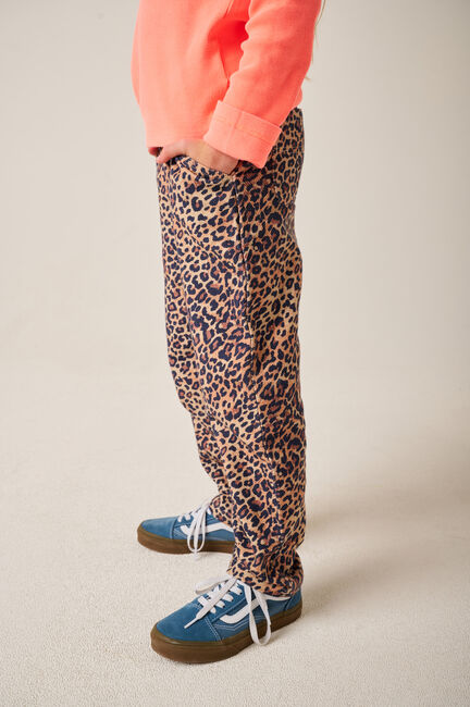 Braune TUMBLE 'N DRY Hose JOYEUX CARPENTER - large