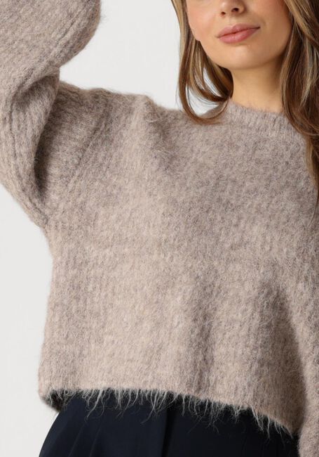 Braune CO'COUTURE Pullover & Cardigans CORALEE CROP KNIT - large