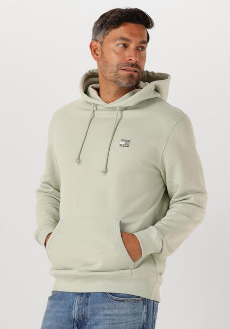 Minze TOMMY JEANS Pullover TJM REG BADGE HOODIE EXT - large