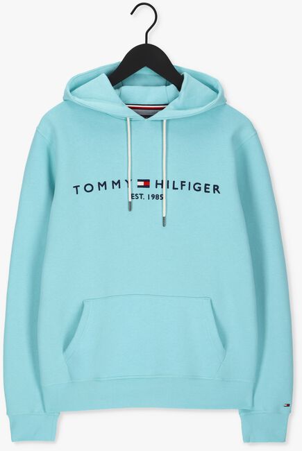 Hellblau TOMMY HILFIGER Sweatshirt TOMMY LOGO HOODY - large