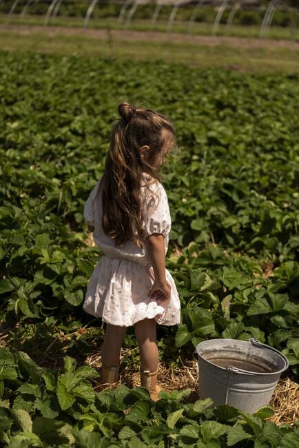 Rosane JENEST Minirock BETTY BALLOON SKIRT - large