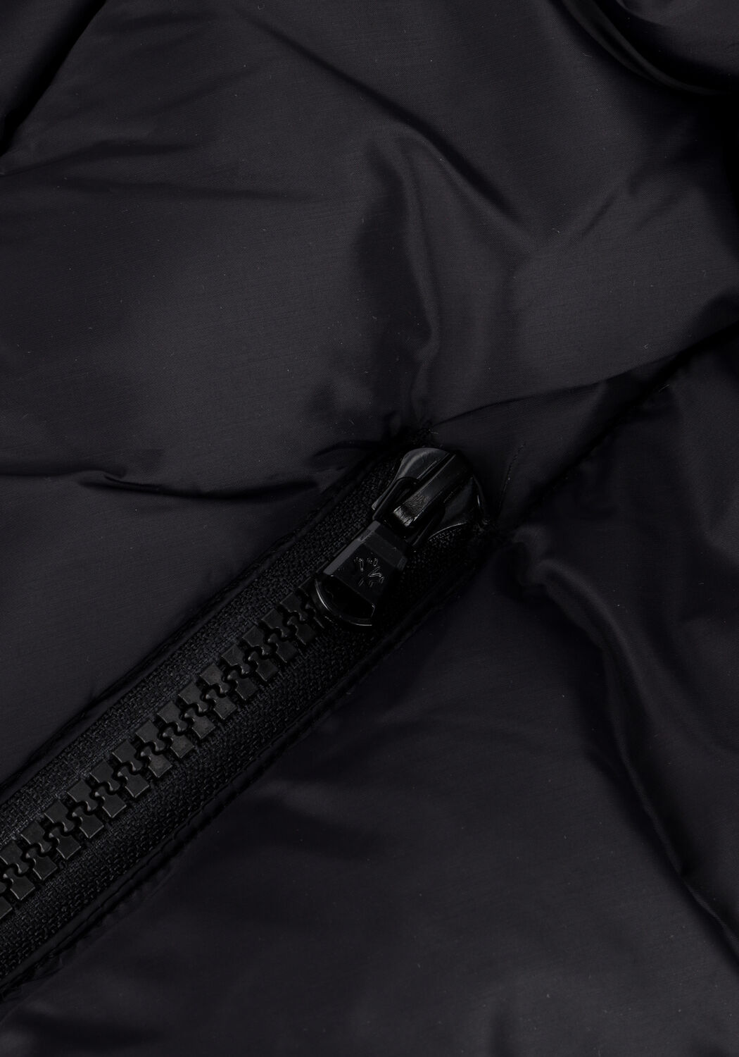 Schwarze CANADIAN Wattierte Jack EUGENIE SHORT RECYCLED - large