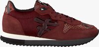 Rote FLORIS VAN BOMMEL Sneaker low 85256 - medium
