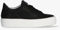 Schwarze FLORIS VAN BOMMEL Sneaker low 85333 - medium