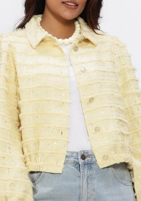 Creme FREEBIRD Blazer WV-HAIRY-SEQUINCE-26-1 - large