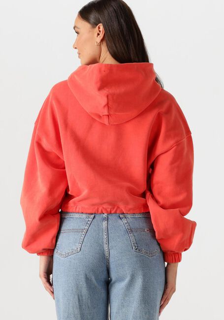 Rote TOMMY JEANS Sweatshirt TJW CRP GMD SCRIPT HOODIE - large