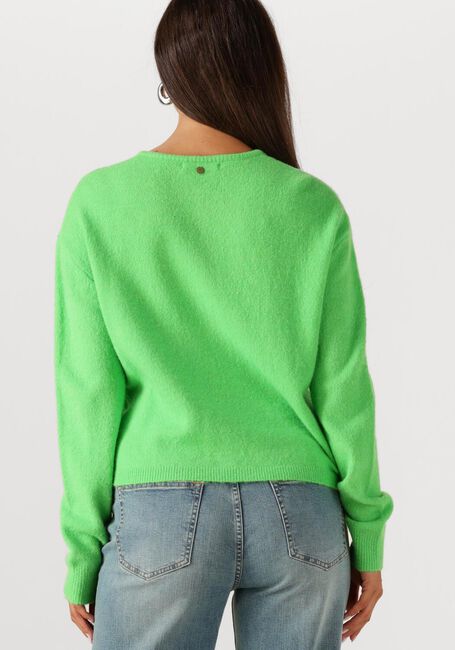 Grüne CIRCLE OF TRUST Strickjacke BODI CARDIGAN - large