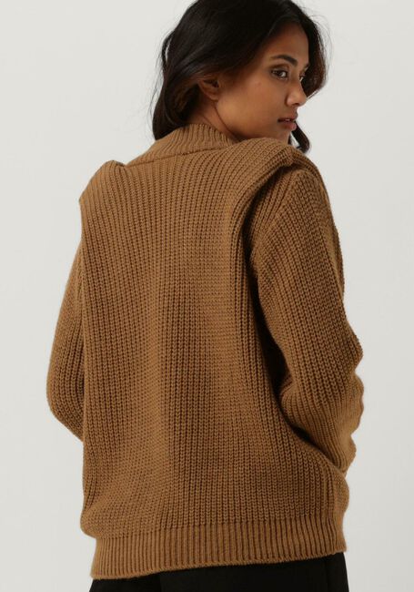 Braune AMAYA AMSTERDAM Pullover JORDAN KNITWEAR - large