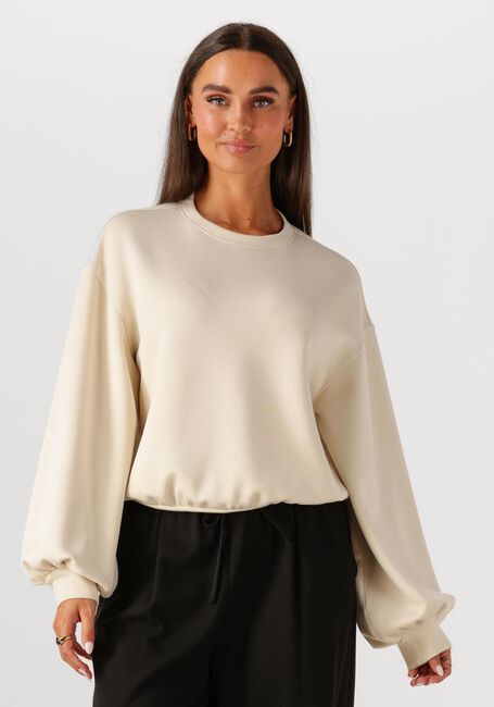 Beige MSCH COPENHAGEN Sweatshirt MSCHBRIONNA IMA Q SWEATSHIRT - large