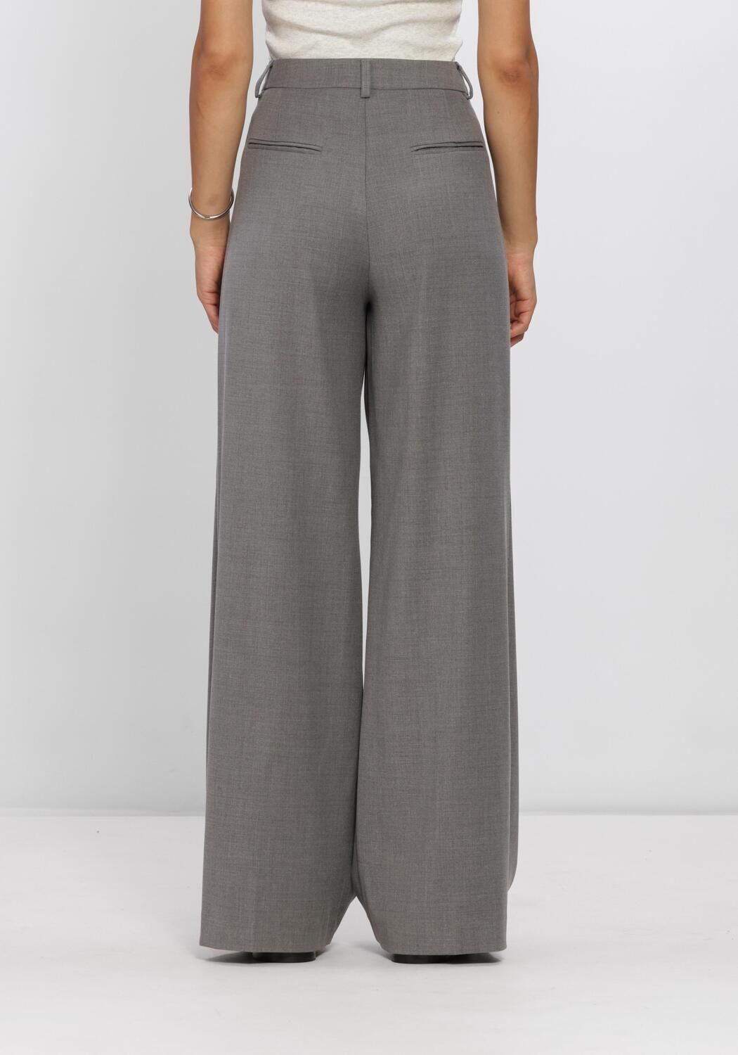 Graue DANTE6 Hose BIAXA PLEATED PANTS - large