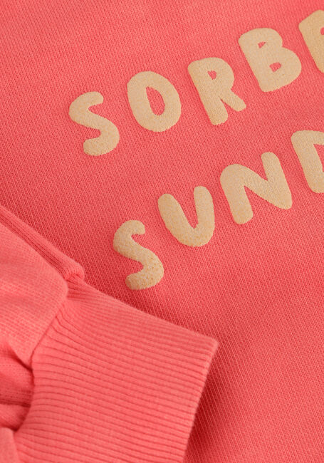 Rosane Sproet & Sprout Pullover & Cardigans CROPPED HOODED SWEATSHIRT - large