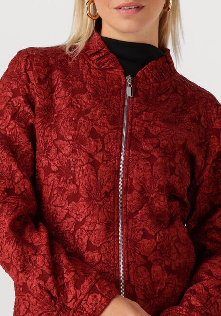 Bordeaux JANSEN AMSTERDAM Jack JOSIEN JASJE J 275 - large