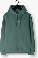 Grüne PURE PATH Pullover HOODIE WITH FRONT AND TRIANGLE BACK PRINT