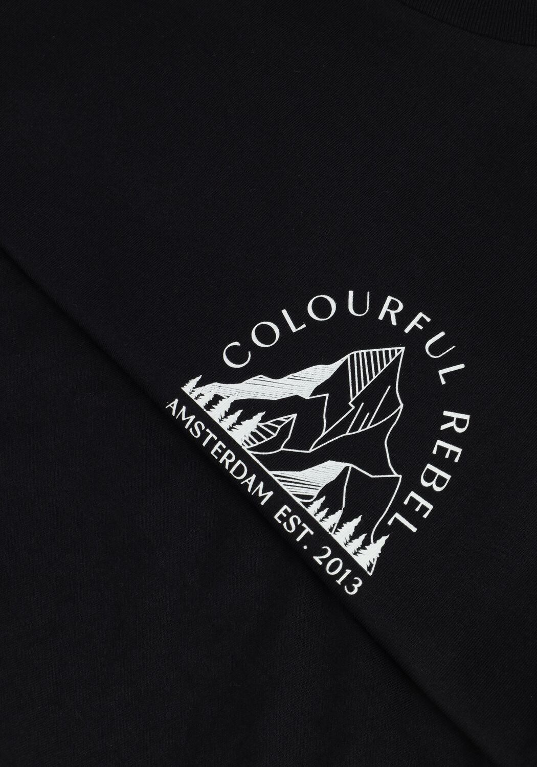 Schwarze COLOURFUL REBEL T-shirt MOUNTAIN BASIC TEE - large